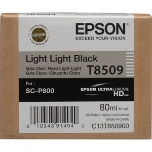 Epson T850900 világos fekete (light black) eredeti tintapatron kép