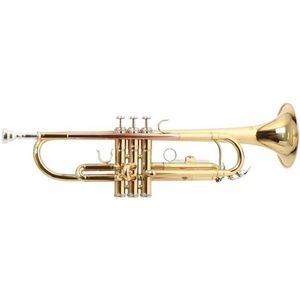 Roy Benson TR-101 Bb trombita kép