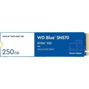 WD Blue SN570 250GB kép