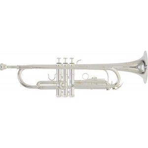 Roy Benson TR-202S Bb trombita kép