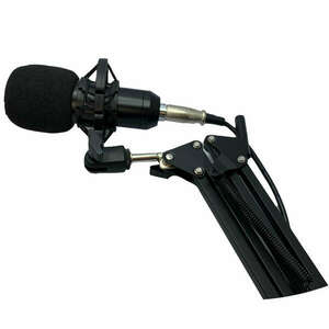 Professzionális kondenzátor mikrofon és Singing Live hangkeverő (... kép