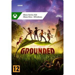 Grounded - Xbox Series DIGITAL kép
