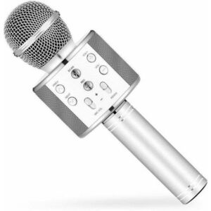 Eljet Globe Silver Karaoke Mikrofon kép