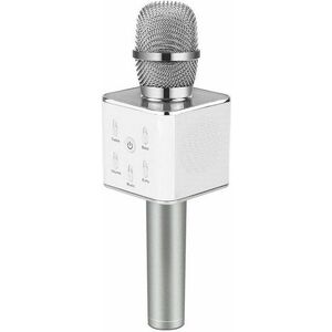 Eljet Performance Karaoke Mikrofon - ezüst kép