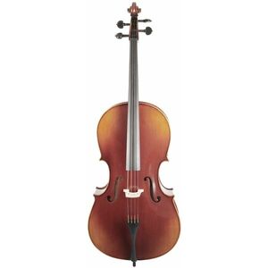 Bacio Instruments Professional Cello (AC300) 4/4 kép