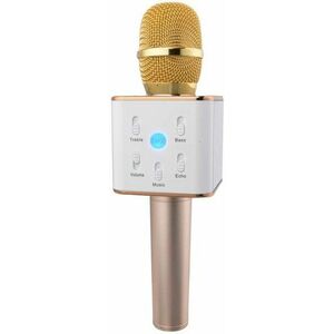 Eljet Karaoke Mikrofon Performance arany kép