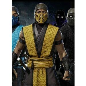 Mortal Kombat 11 Klassic Arcade Ninja Skin Pack 1 (PC) Steam DIGITAL kép