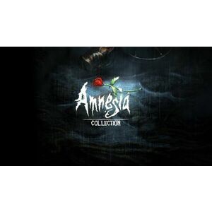 Amnesia Collection - PC DIGITAL kép