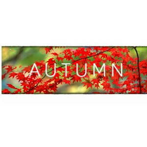 Autumn - PC/MAC/LX DIGITAL kép