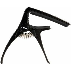 Cascha Capo for Acoustic and Electric Guitar kép