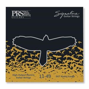 PRS Signature Strings, David Grissom kép