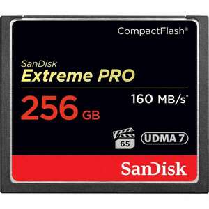 SanDisk Extreme PRO, 256GB memóriakártya CompactFlash kép