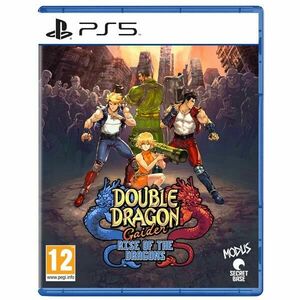 Double Dragon Gaiden: Rise of the Dragons - PS5 kép
