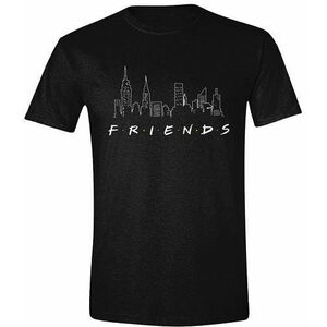 Friends - Logo and Skyline kép