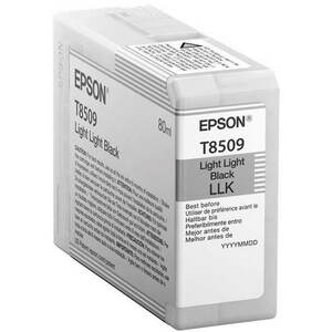 Epson T7850900 világos fekete kép