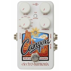 Electro-Harmonix Canyon kép