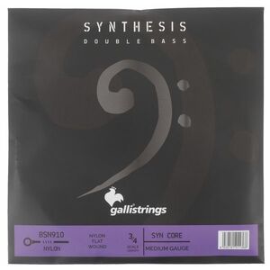 Galli BSN 910 Synthesis Bass SYC Nylon 3/4 kép