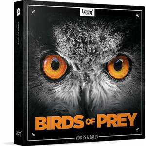 BOOM Library Birds of Prey (Digitális termék) kép