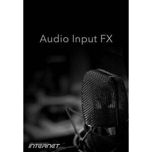 Internet Co. Audio Input FX (Digitális termék) kép