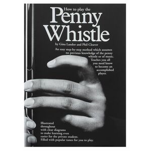 MS How To Play The Penny Whistle kép