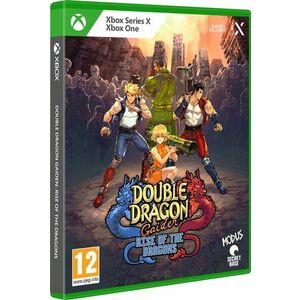 Double Dragon Gaiden: Rise of the Dragons - Xbox kép
