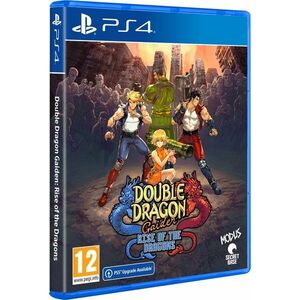 Double Dragon Gaiden: Rise of the Dragons - PS4 kép