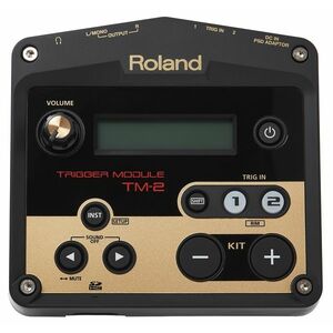 Roland TM-2 kép