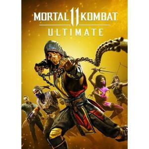 Mortal Kombat 11 Ultimate (PC) kép