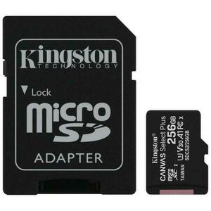 microSDXC Canvas SeIect Plus 256GB UHS-I/A1/C10 SDCS2/256GB kép