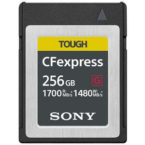 CFexpress 256GB CEB-G256 kép