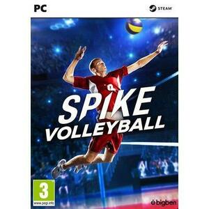 Spike Volleyball (PC) kép