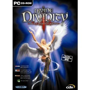 Divine Divinity (PC) kép