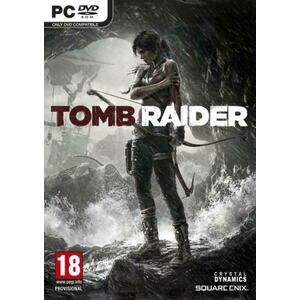 Tomb Raider (2013) (PC) kép