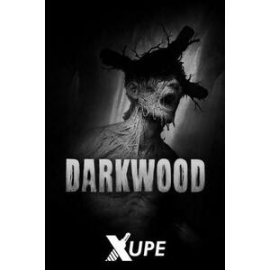 Darkwood (PC) kép