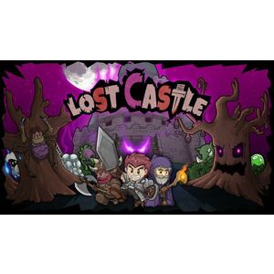 Lost Castle (PC) kép