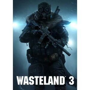 Wasteland 3 (PC) kép