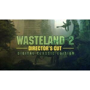 Wasteland 2 [Director's Cut-Digital Classic Edition] (PC) kép