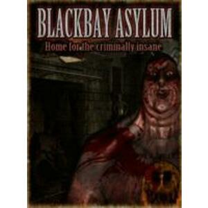 Blackbay Asylum (PC) kép