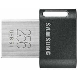 FIT Plus 256GB USB 3.1 MUF-256AB/EU kép