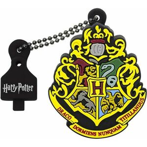 Harry Potter Collector Hogwarts 16GB USB 2.0 ECMMD16GHPC05/02/01 kép