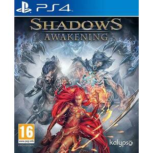 Shadows Awakening (PS4) kép