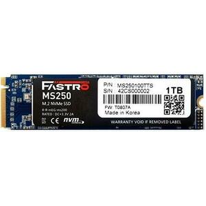 Fastro MS250 1TB M.2 PCIe (MS250100TTS) kép