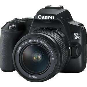 Canon EOS 250D Digitális fényképezőgép + EF-S 18-55mm f/3.5-5.6 I... kép