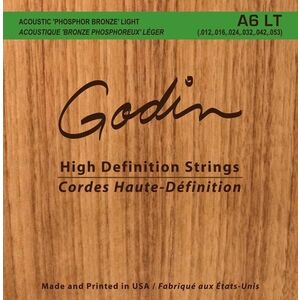 Godin Strings Acoustic Guitar LT kép