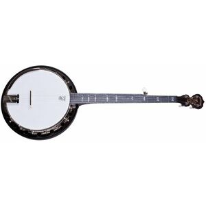 Deering Artisan Goodtime Special Banjo kép