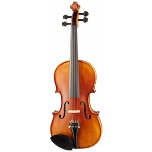 Pierre Marin Salieri Violin Set 4/4 kép