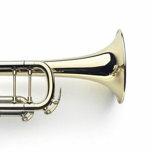 VanLaar B9.1 Bb Trumpet Raw Brass kép