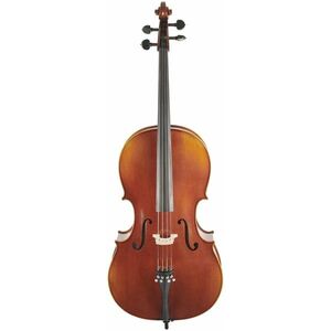 Bacio Instruments Professional Cello Antique (ACA300) 4/4 kép