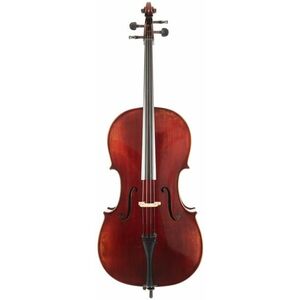 Eastman Ivan Dunov Cello 4/4 (VC401 ) kép