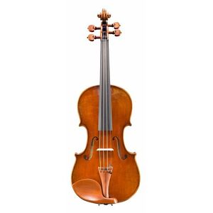 Eastman Amsterdam Atelier 2 Series 4/4 Violin kép